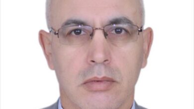 HABBOUBI REDOUANE: Etude de cas de la coopération Maroco-Africaine: secteur de Télécommunications  MAROC TELECOM 