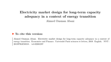 Electricity market design for long-term capacity adequacy in a context of energy transition